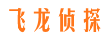 桐城侦探公司